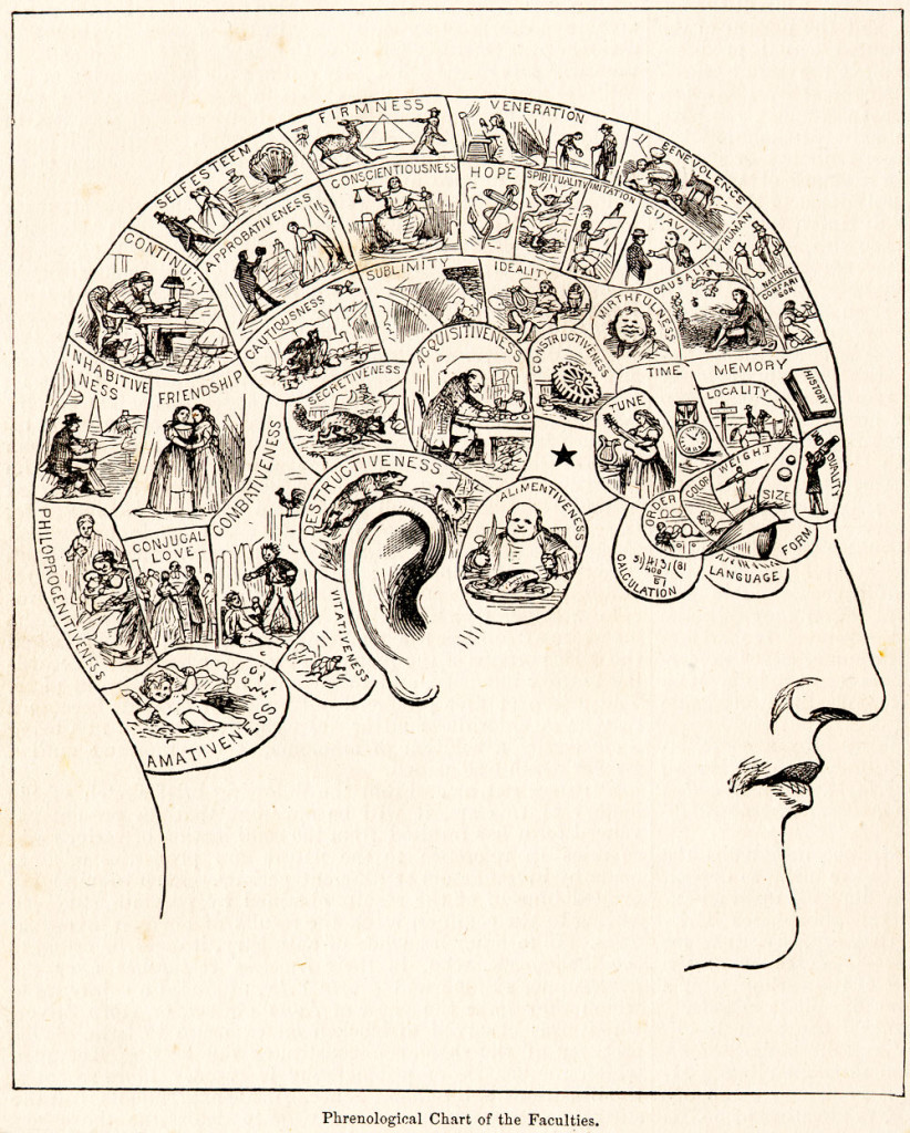 profile drawing of human head with phrenological areas mapped out